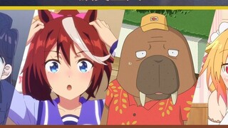 [Animei Cup] Lễ trao giải Hoạt hình 2021: Tôi đã làm gì với T Meow của mình [Không chỉ nói về Hoạt h