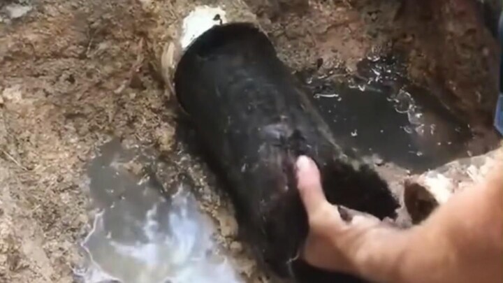 Cùng nhau xem những công việc đáng kinh ngạc nào!