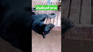 มันต้องท้าทาย