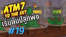 ตอน 19 เกษตรกร - All the Mods 7 To the Sky