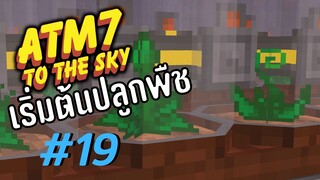 ตอน 19 เกษตรกร - All the Mods 7 To the Sky