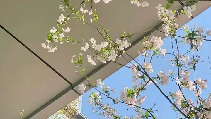 叫老公