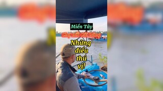 Đến miền Tây trải nghiệm thú vị khi đi chợ nổi