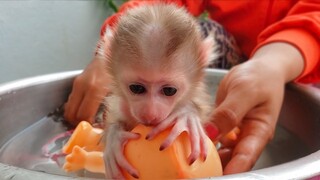 Routine Bathing!! Take a bath for tiny adorable Luca keeps him cleans & healthy