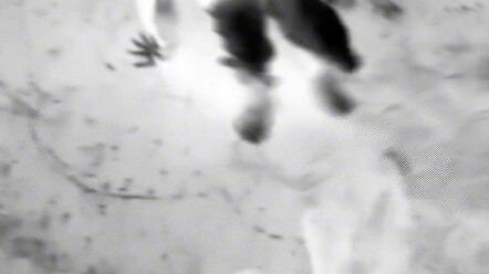 7.99 ZMj:/ %Speed change Stop! Stop right now! Don’t fight anymore!