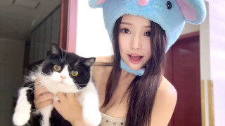Nếu chú mèo con có thể nói, nó sẽ nói gì?