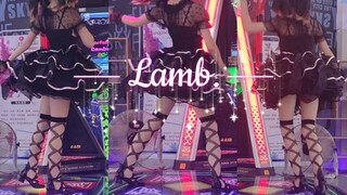 【E-Dance to Fame】การแสดงแฟนซี ✦Lamb.✦วันนี้ฉันดูเหมือนตุ๊กตาโบราณ~ พังได้ แต่ก็ไม่สามารถหักได้เลย