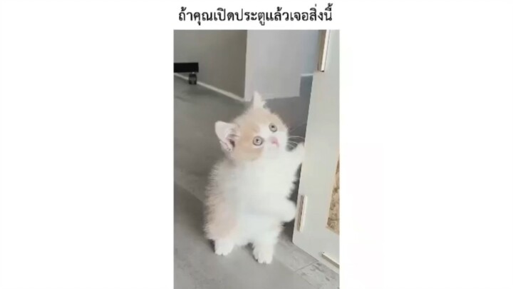 ถ้าคุณเปิดประตูแล้วเจอสิ่งนี้
