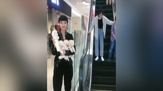 cho mà hỏng thèm lấy luôndog tiktok thucung maiyeuthucung lovedog