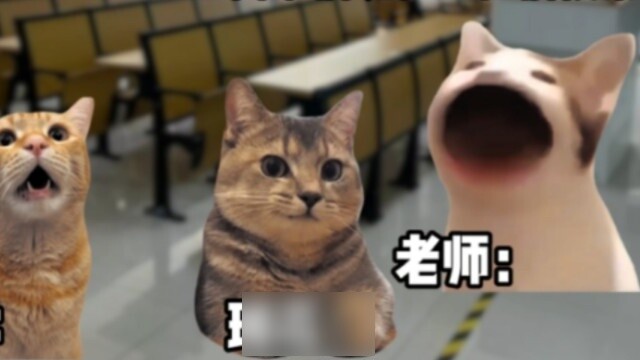 การทะเลาะวิวาทระหว่างเจ้าชายก็เป็นแบบนี้เสมอ