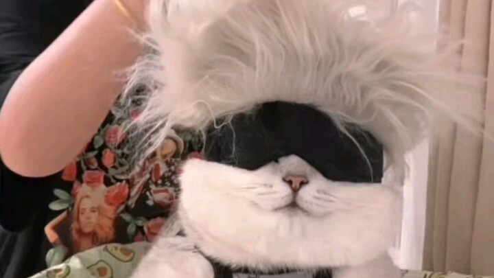 Đến mơ cũng không ngờ Phân Nhi lại cosplay Gojo Satoru!