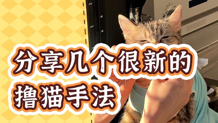 Wow… what a fresh, unique, and totally wild way to pet a cat!