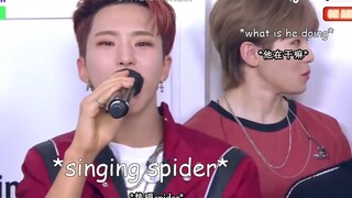 Chuyển ngữ tự dịch｜Những đoạn phỏng vấn hài hước khó quên của SEVENTEEN trong tâm trí tôi