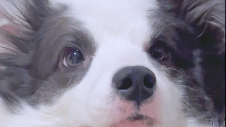 لولا أنه طفلي أنا، لما تعبت هيك!