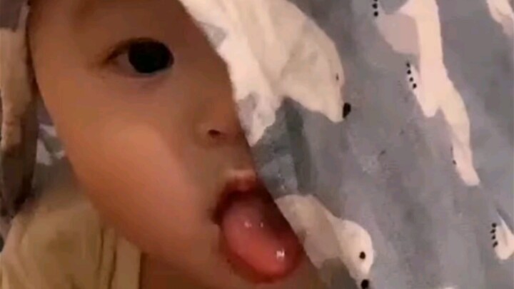 Mùa đông mà giường ai lại không có một bé cưng nhỉ