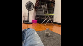 ค่าของความกตัญญู ราคาที่ต้องจ่ายมันแพงจัง