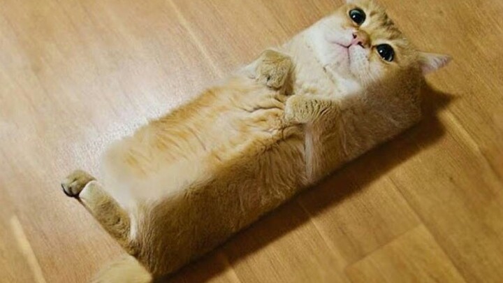 Bức tranh chân thực về một ngày của mọi người