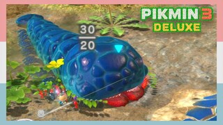 Pikmin Dragging Armoured Mawdad Back To Onion Base | Pikmin 3 Deluxe