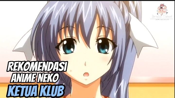 REKOMENDASI ANIME NEKOPOI WIK WIK SAMA KETUA KLUB