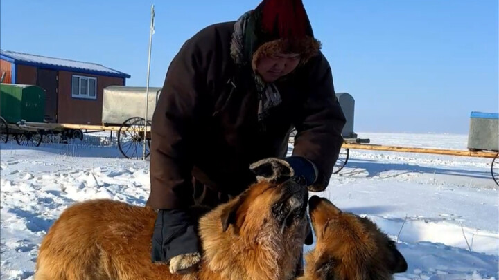 Dù nhiệt độ trên thảo nguyên rất lạnh, nhưng điều đó vẫn không thể ngăn nổi tình yêu của tôi dành ch