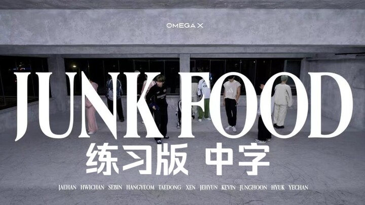 【OMEGA X Chinese Subtitles】Practice Version JUNK FOOD | practice | iykyk | Practice Room