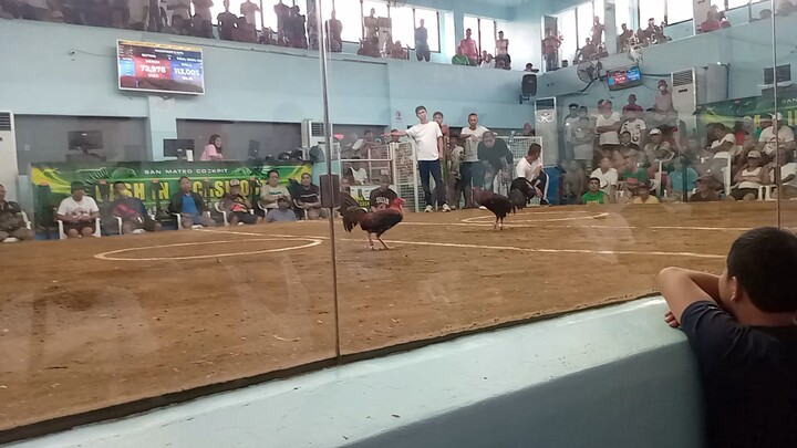 champion 2hits San Mateo Marwin gf