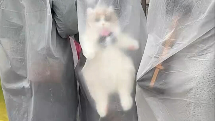 Miu Miu: Mẹ à, mẹ đâu cần lúc nào cũng dắt con theo làm gì!