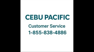 61 Ways To Contact Cebu Pacific Customer Service By Phone, Chat and Email Options: An Easy Guide