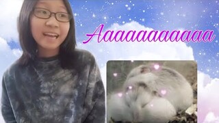 Đi Mua Chuột 🐁 :3 || 18-12-2021 || Vlog