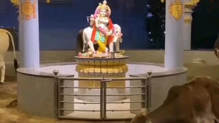 sri Krishna🙏🏼
