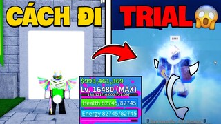 Roblox - Cách Đi TRIAL Thức Tỉnh TỘC V4 (Race Awakening) Được TIẾT LỘ? Blox Fruit | Blox Fruits