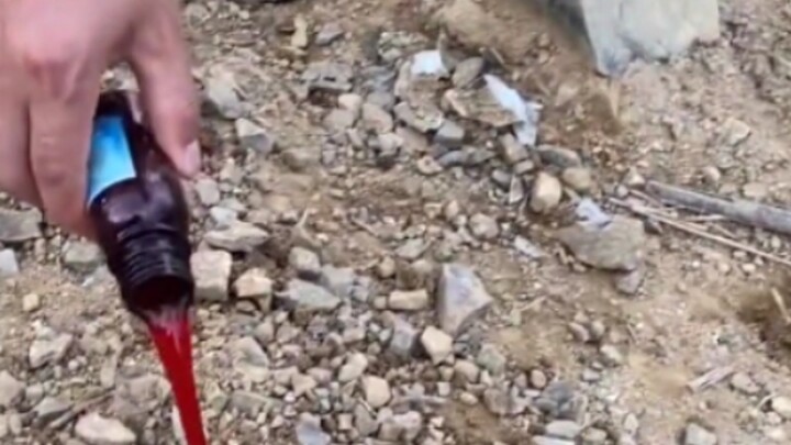 Baru beli satu botol, udah diterima sama ikan di tengah jalan!