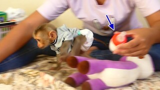 OMG!! Small Orphan baby monkey Maku Try to escape When See Mom Prepare milk for Him