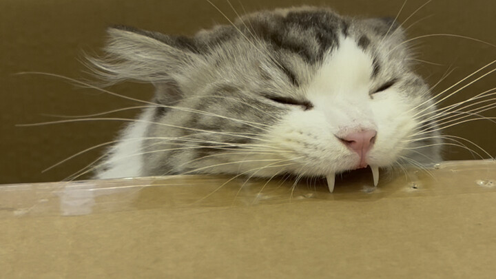 Are you sure it’s not a hole punch?