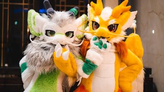 كيف تتقاتل التنانين