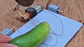 Nhật ký cuộc sống