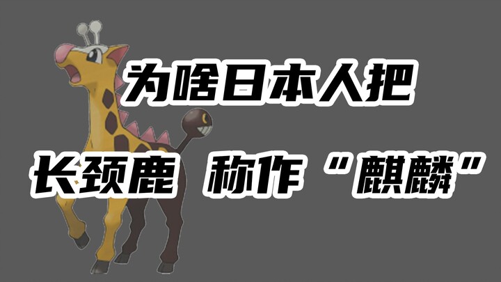 Có phải hươu cao cổ thực sự tiến hóa từ “hươu cổ ngắn”?