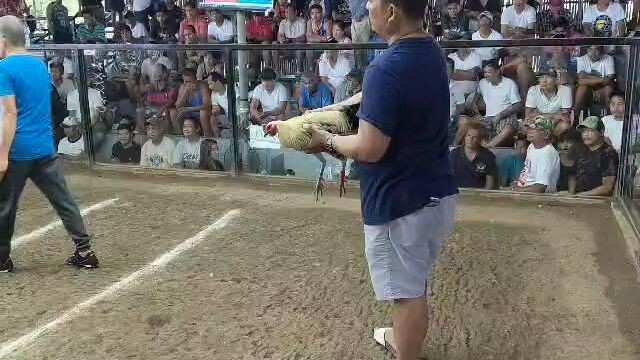 Kanawayon ni Maestro Win