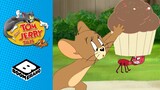 Tom & Jerry | Ant Problems | Boomerang UK
