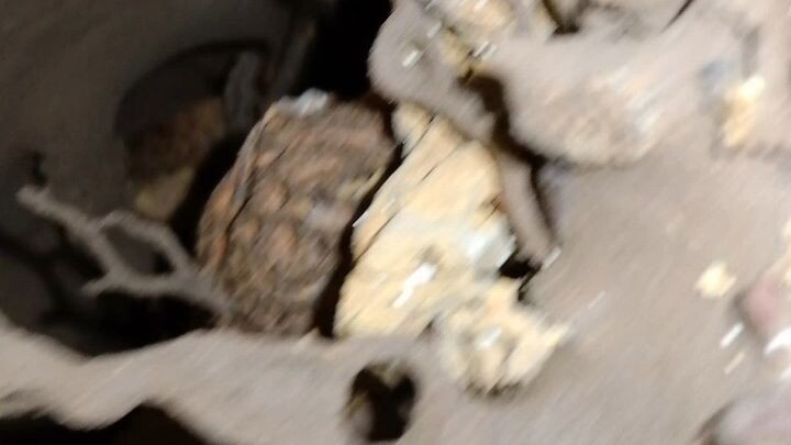 termites  (house) 😅