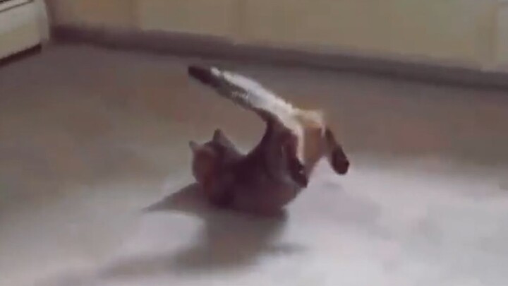 “Whoops… I let my guard down!”