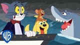 Tom und Jerry auf Deutsch 🇩🇪 | Kreuzfahrt mit einem Welpen | WB Kids