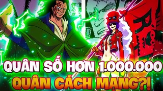 DRAGON SỠ HỮU HƠN 1.000.000 QUÂN CÁCH MẠNG?! | NHỮNG ĐỘI QUÂN ĐÔNG NHẤT ONE PIECE?!