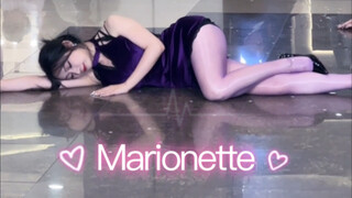 《Stellar-Marionette提线木偶》金佳英位直拍