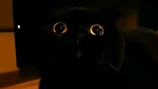 It seems that I can’t have black monitors and TVs in my house!