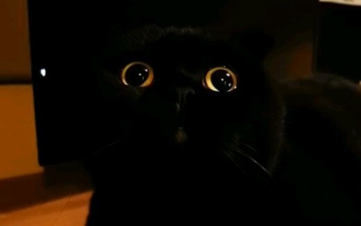 It seems that I can’t have black monitors and TVs in my house!