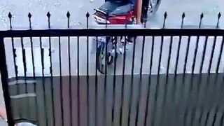 funny moments 2023