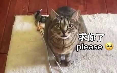 Hurry! Play with it!!!!!!!!!!!!!!!!!!!!!!!!!!