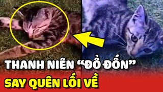 Thanh niên mèo "ĐỔ ĐỐN" đi ăn cưới NHẬU SAY quên lối về 😂 | Yêu Lu