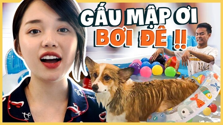 GẤU VÀ MÉO DẮT TAY NHAU ĐI BƠI TRONG NHÀ ƯỚT NHẸP